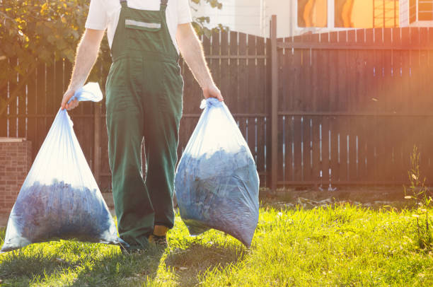 Best Dumpster Rental Services  in Avenue B And C, AZ